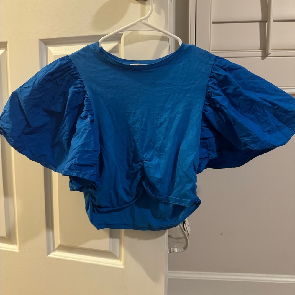 Zara blue ruffled crop top